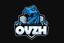 OVZH促销,美国洛杉矶三网CN2 GIA VPS,1核768M内存50M带宽,50元/月-主机镇