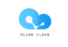 Olink Cloud 使你的垃圾服务器拥有AS9929回程，堪比CN2 GIA-主机镇